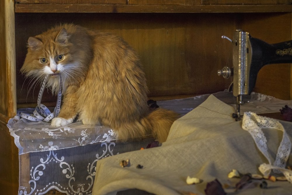 Закройщик 1-го разряда.