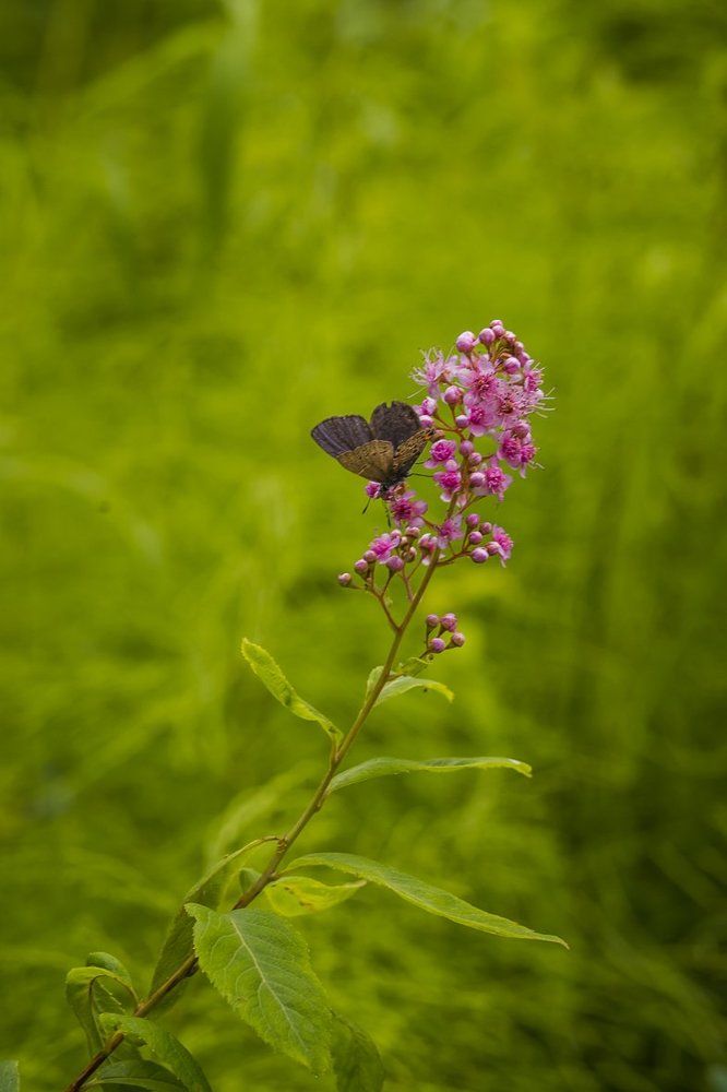 Фотография автора Оркина Ксения