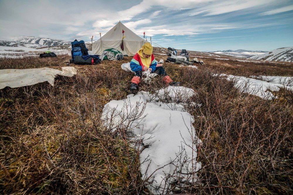 Готовим обед