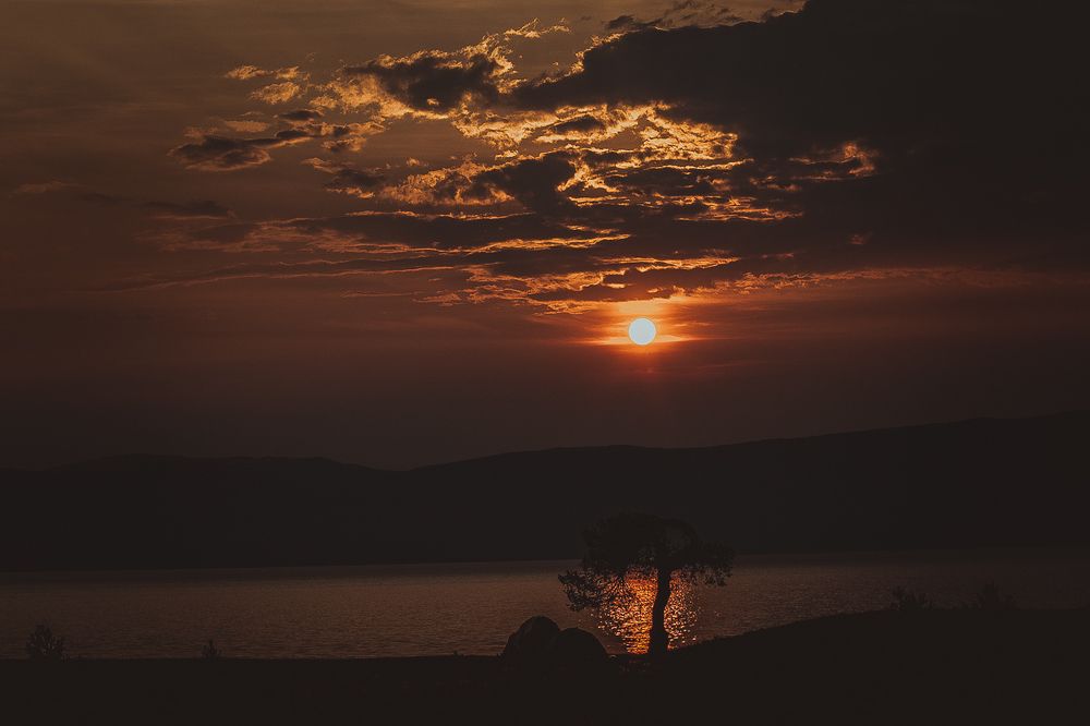 Фотография автора Оркина Ксения