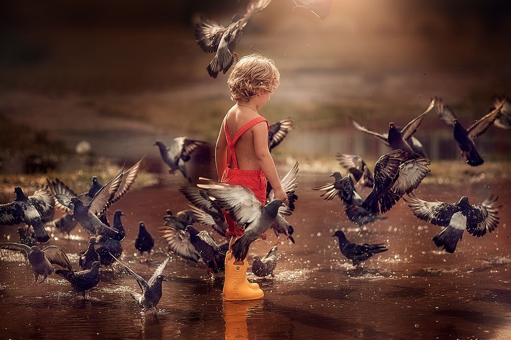 Детство и голуби