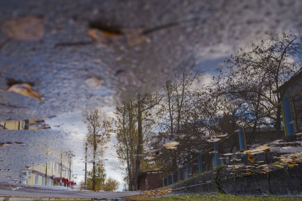 Фотография автора Оркина Ксения