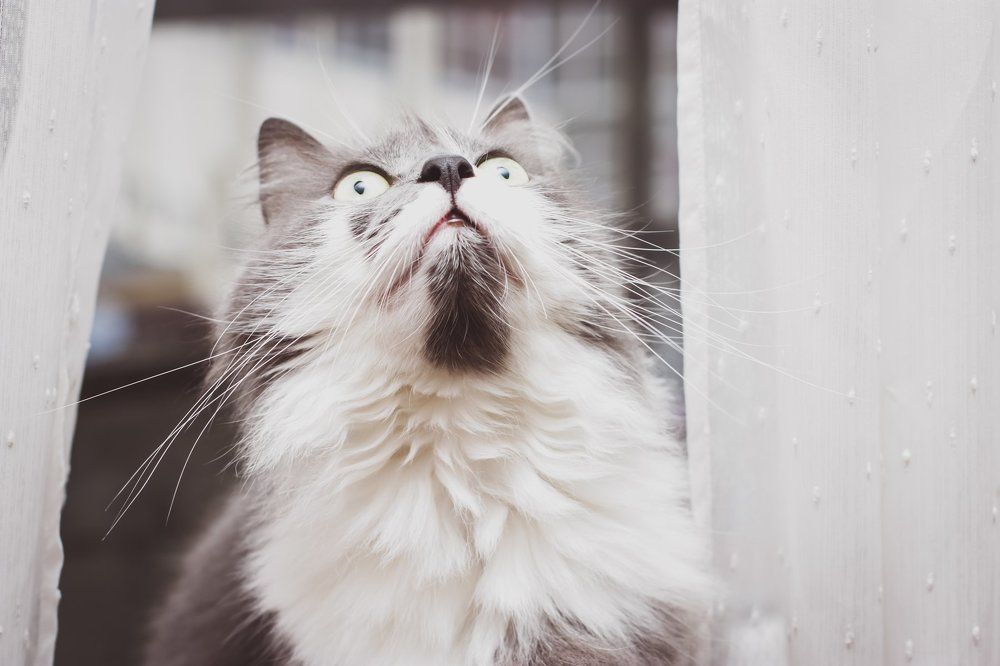 Photograph by Анастасия Эдуардовна Смирнова