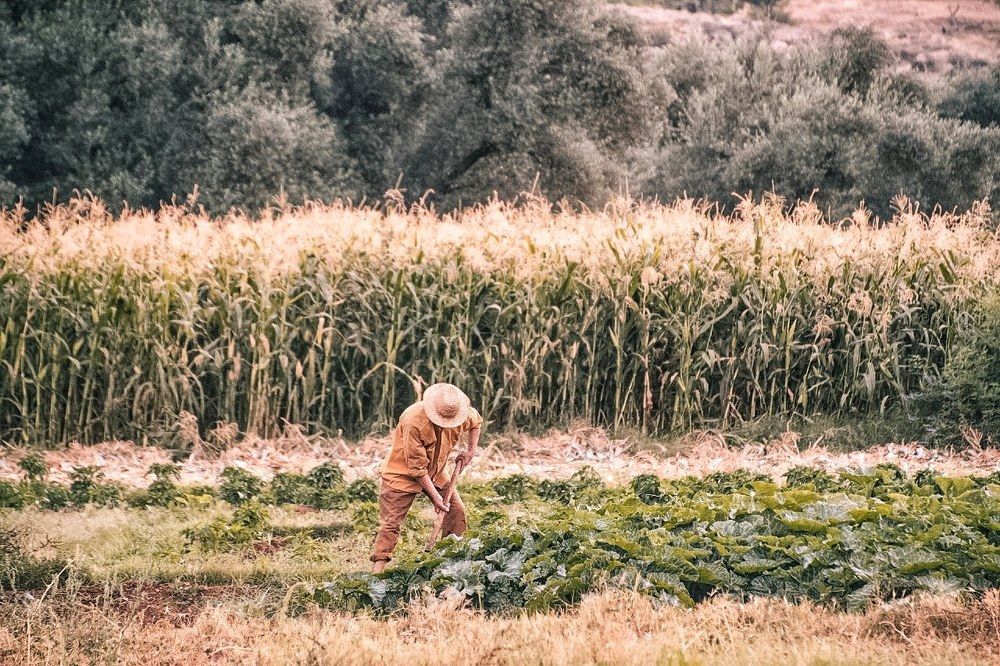 The hard working man