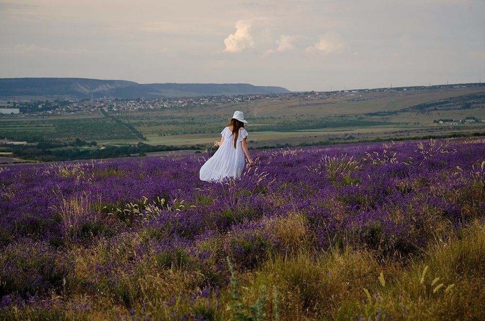 В аромате лаванды