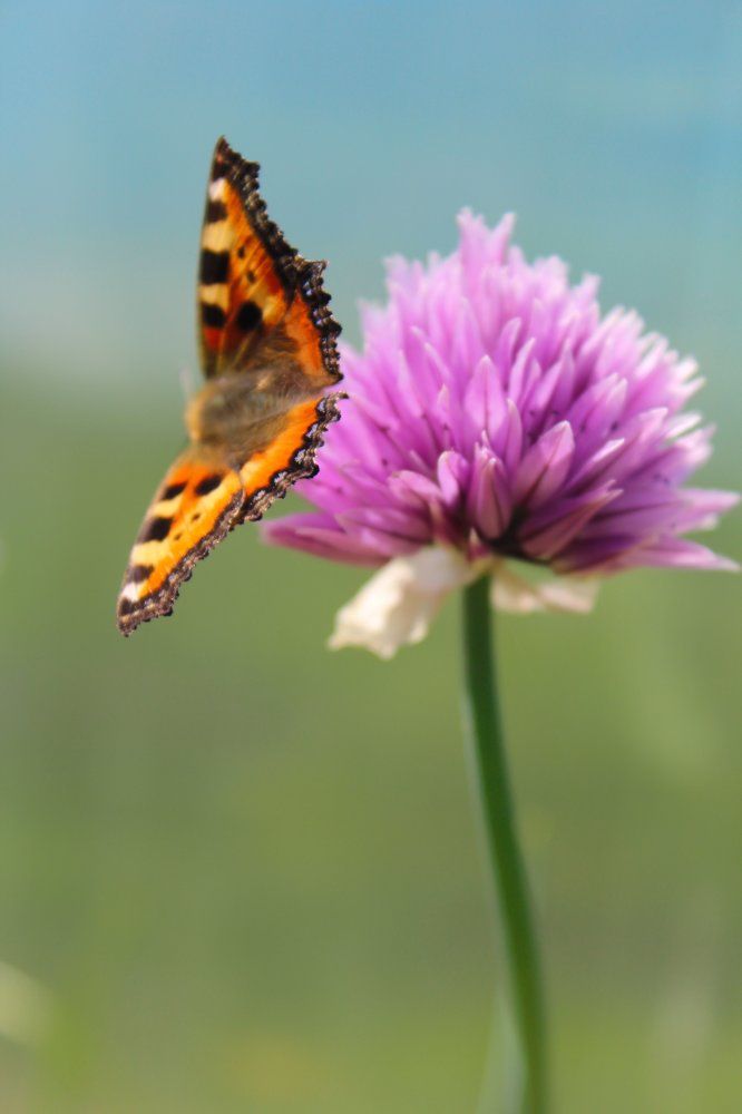 Photograph by Юлия Сметкина