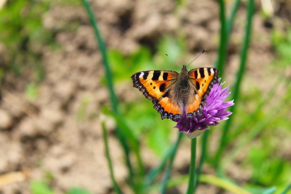 Photograph by Юлия Сметкина