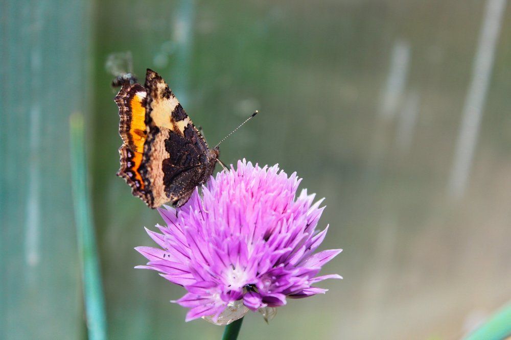 Photograph by Юлия Сметкина