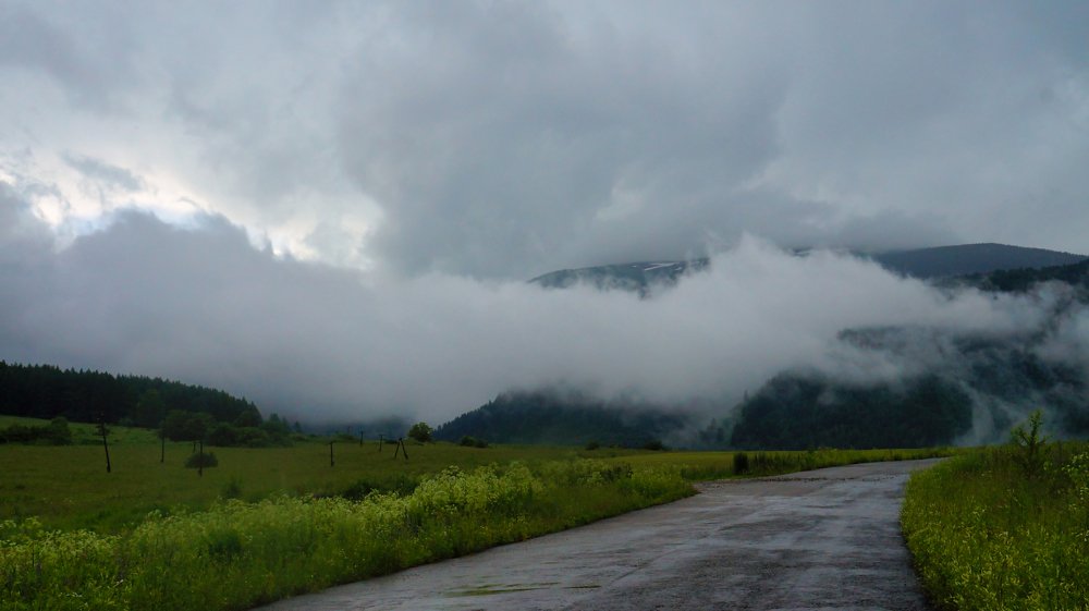 дорога в туман...