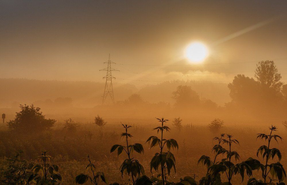 Туманный рассвет.