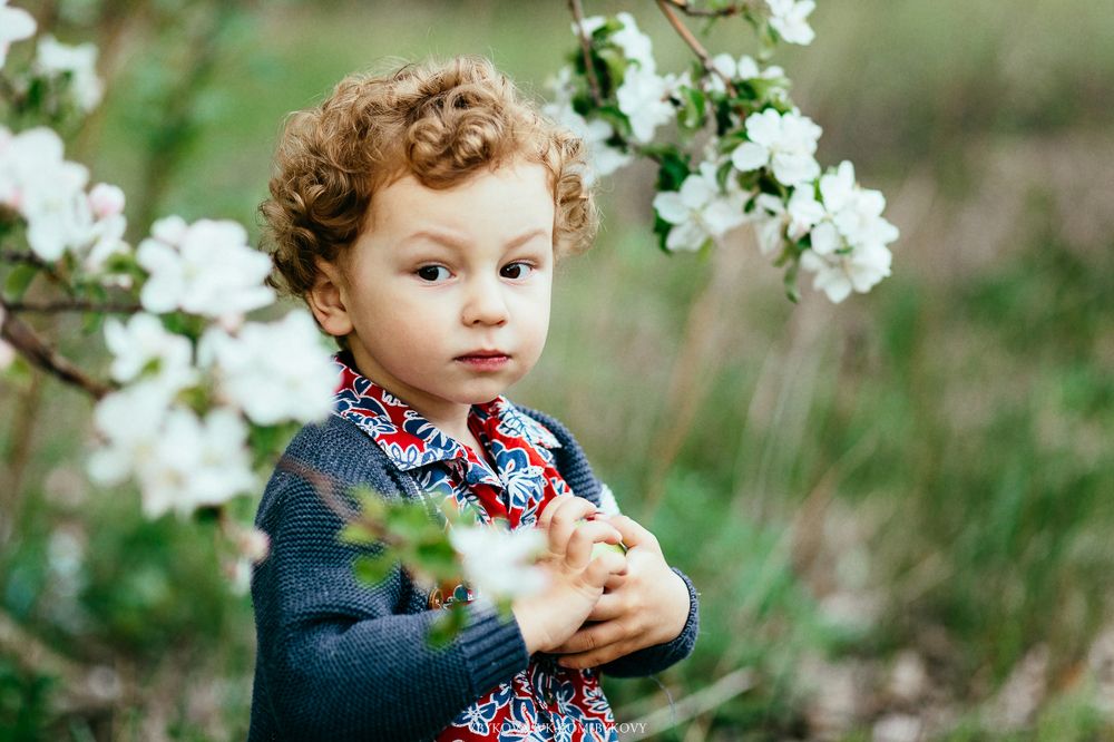 Мишаня в саду