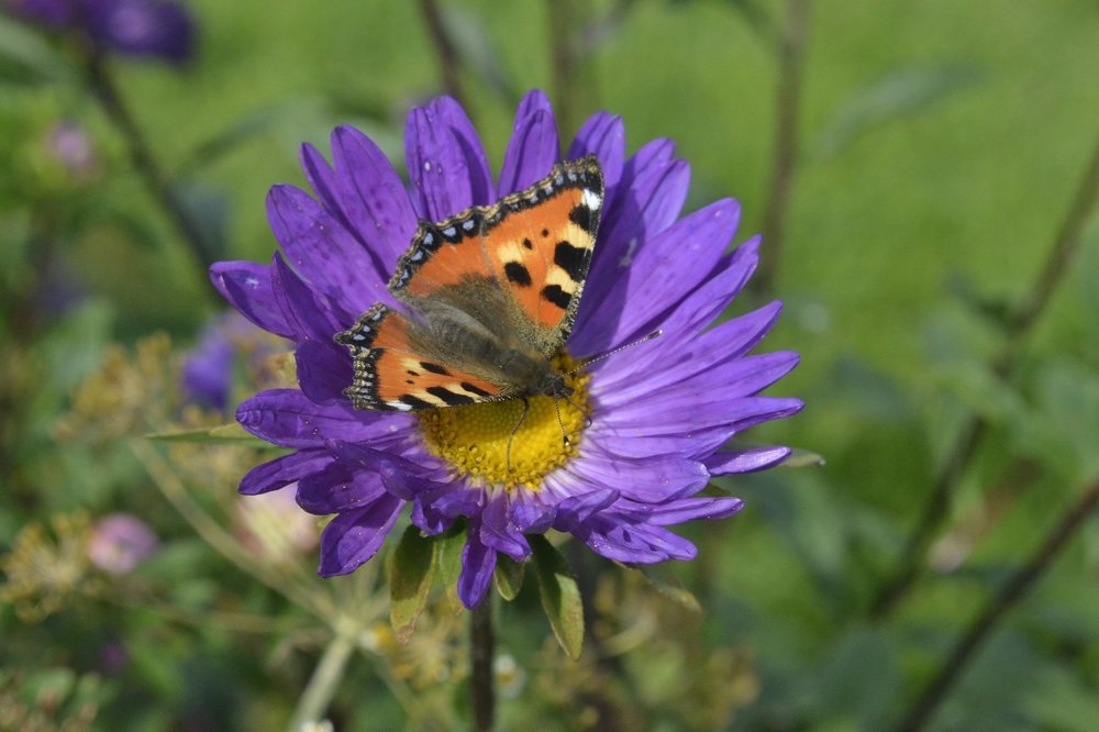 Photograph by Игорь Лебедев