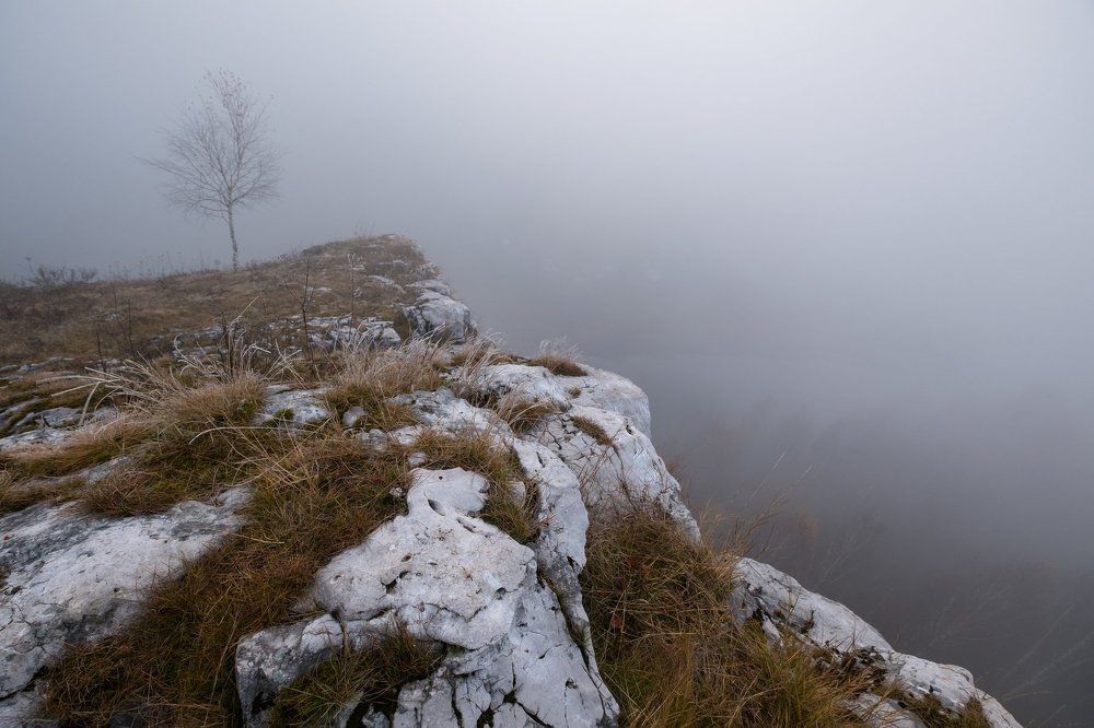 Скала в тумане