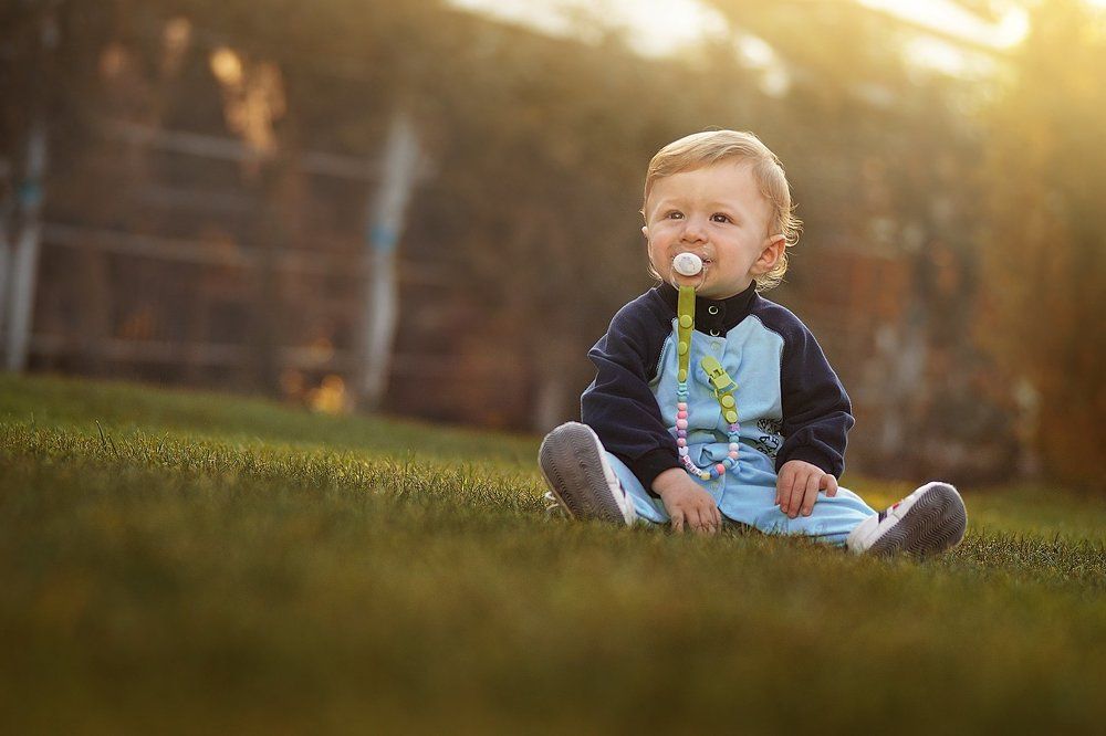 На зеленой лужайке