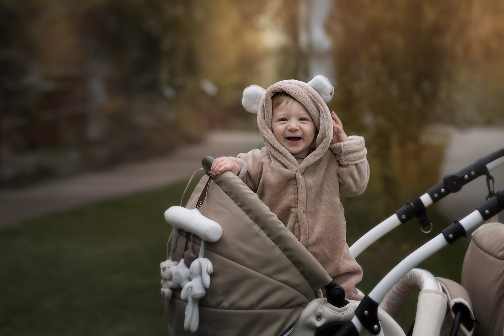 Мишка косолапый