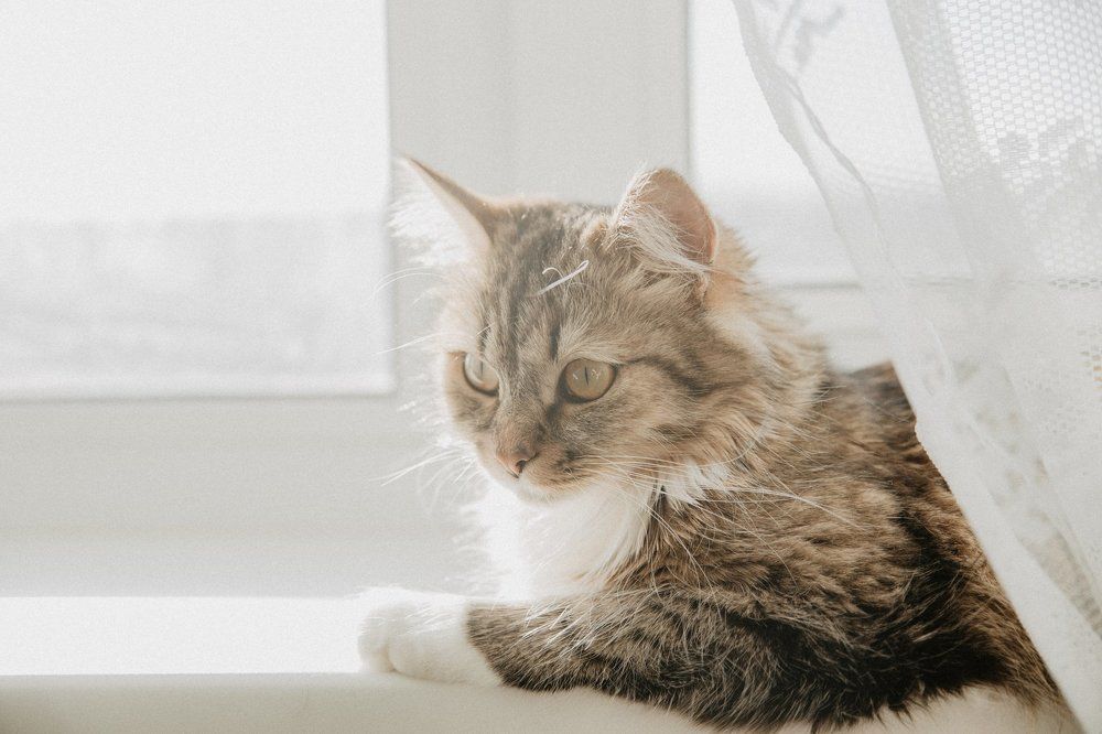 Карамелька