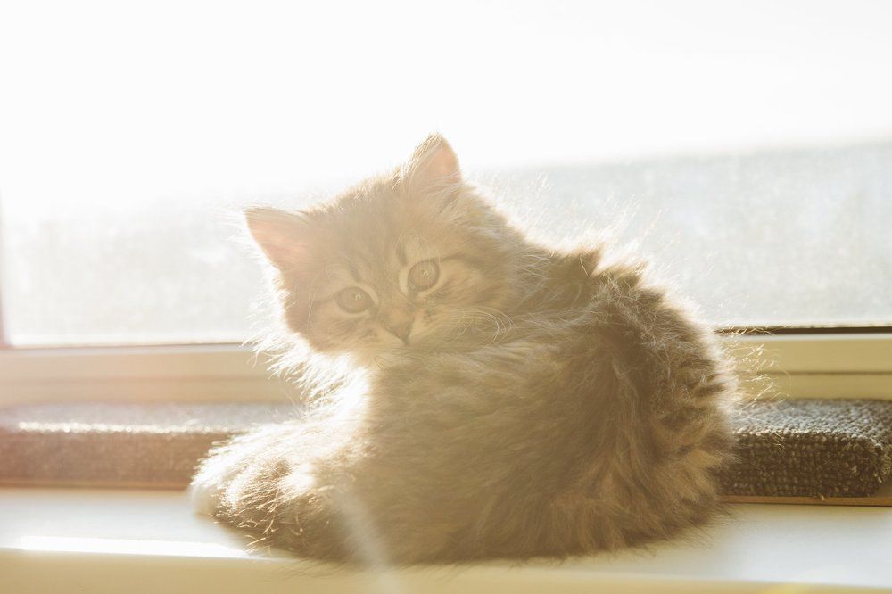 Карамелька