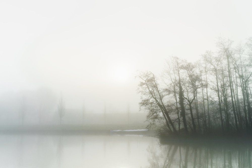 Foggy morning