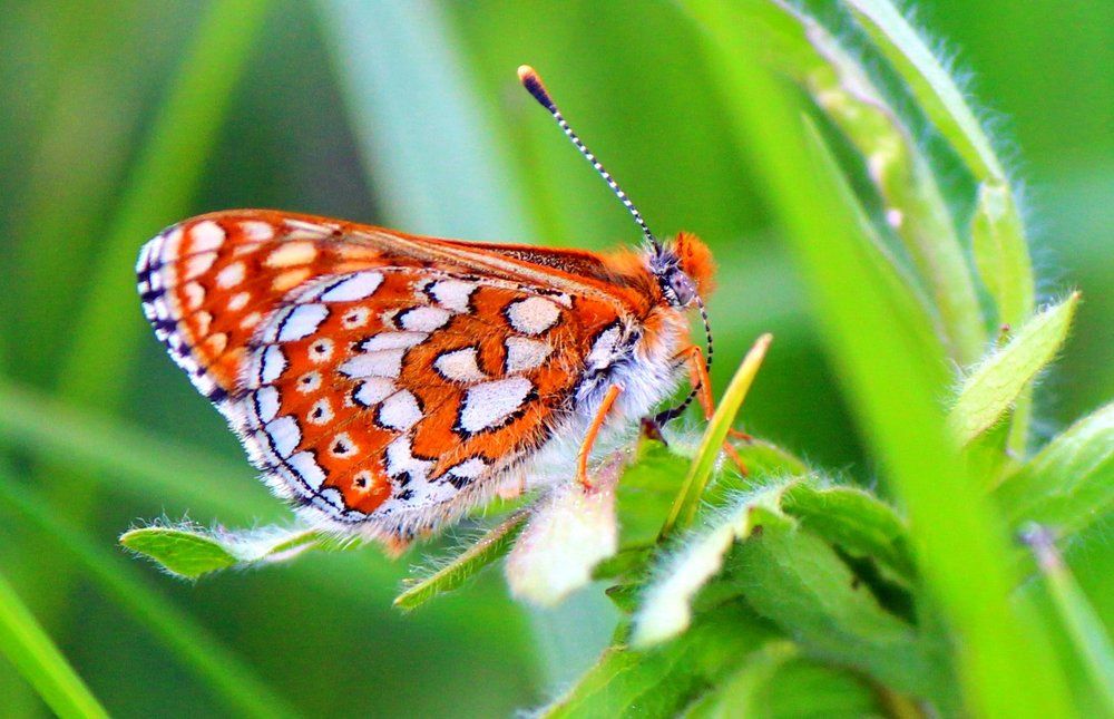 Photograph by Андрей Казанкин
