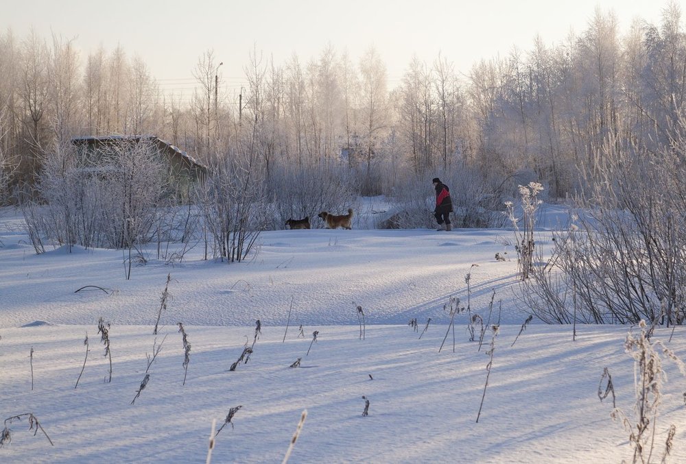 Утренний променад