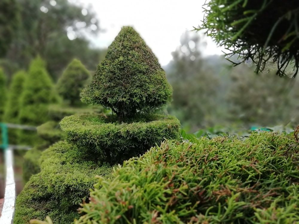 Photo #2484058