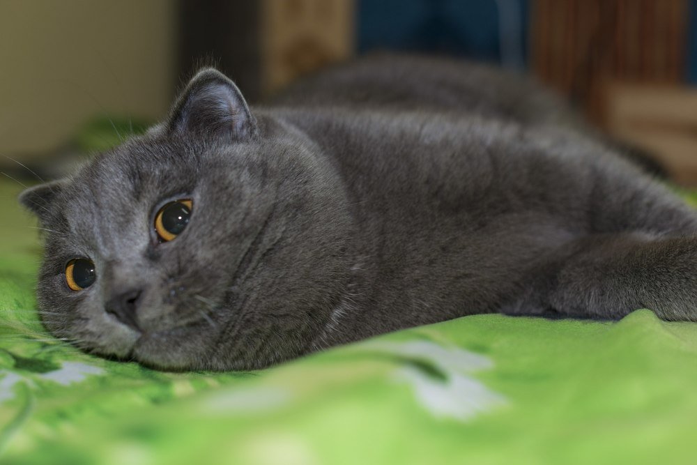 В гостях хорошо, но дома лучше.!!!