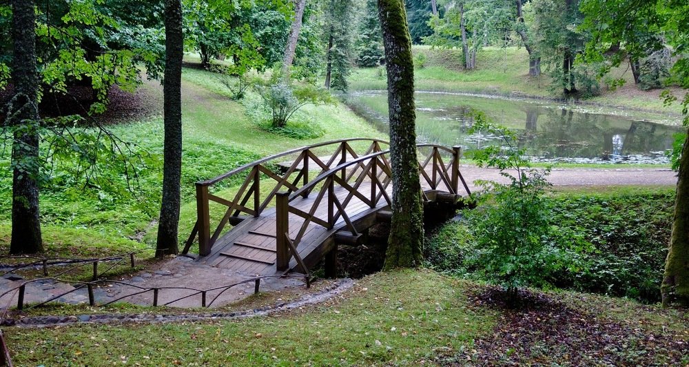 Photograph by Светлана