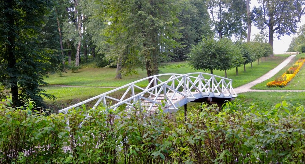 Photograph by Светлана