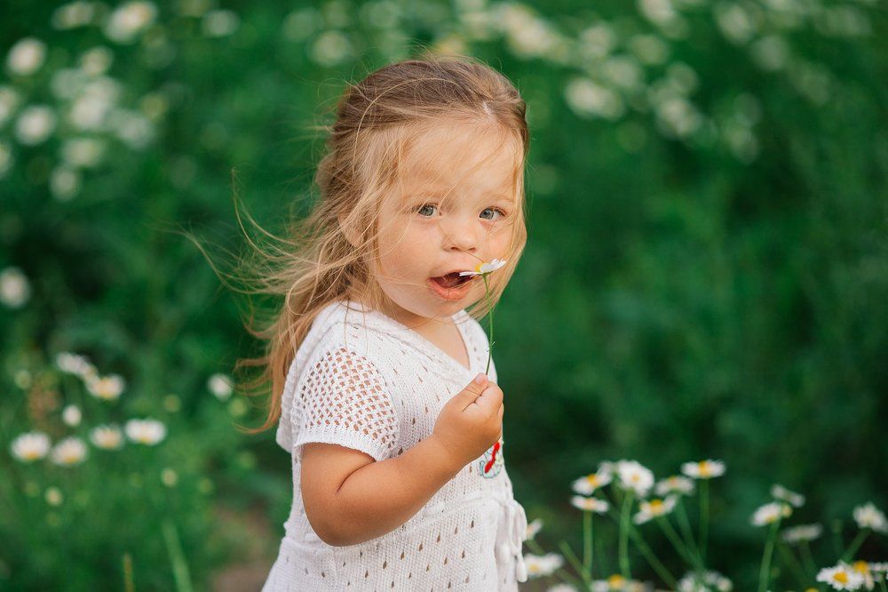 ромашковое чудо