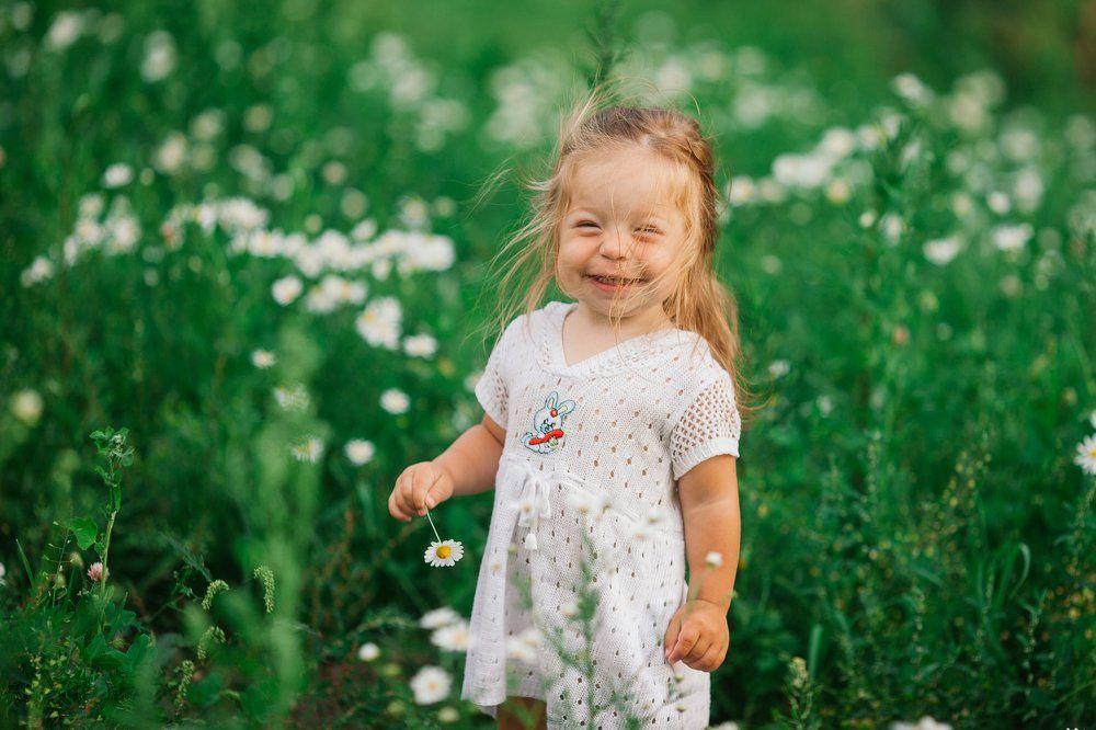 ромашковое чудо