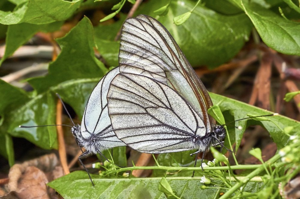 Photograph by Victor Pruhnitskiiy