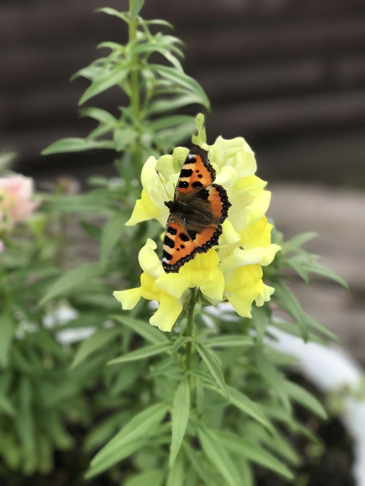 Photograph by Надежда