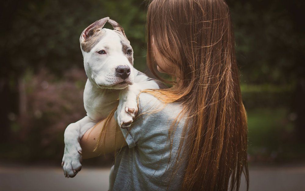 Человек собаке друг !