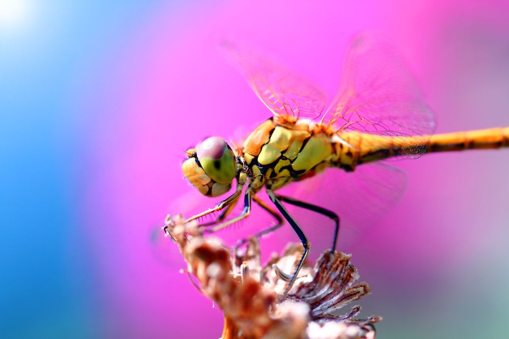 Фэшн-гламур у девиц поменьше...