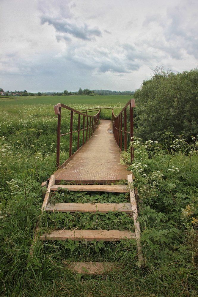 В неизвестность