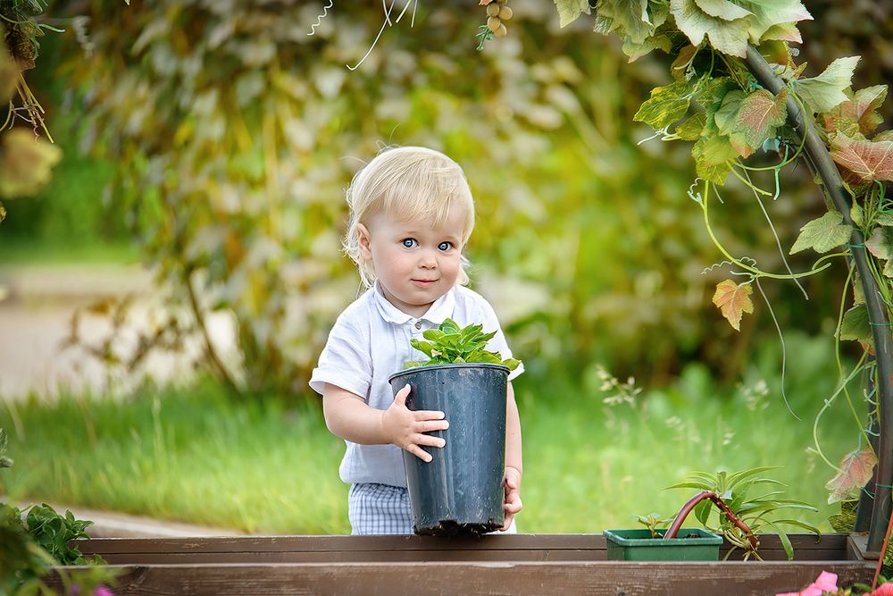 Мамин помощник