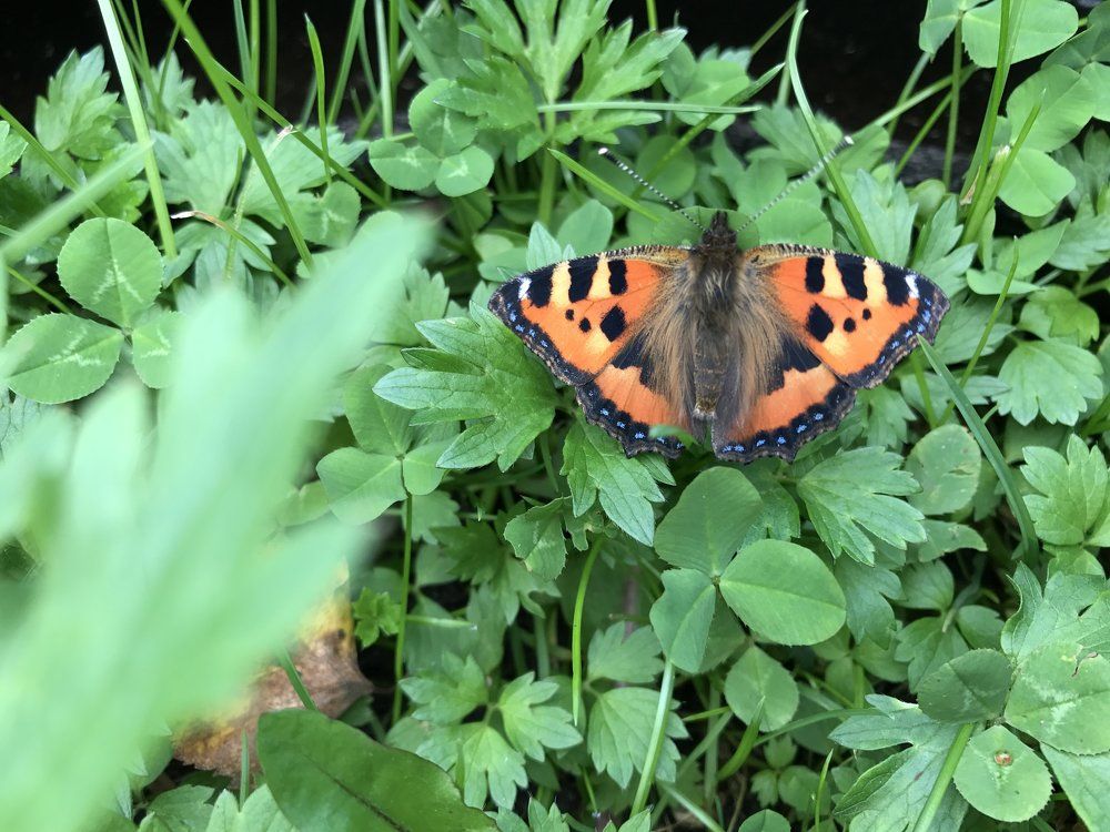 Photograph by Надежда