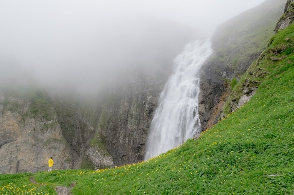 Фотография автора Андрей Симонов
