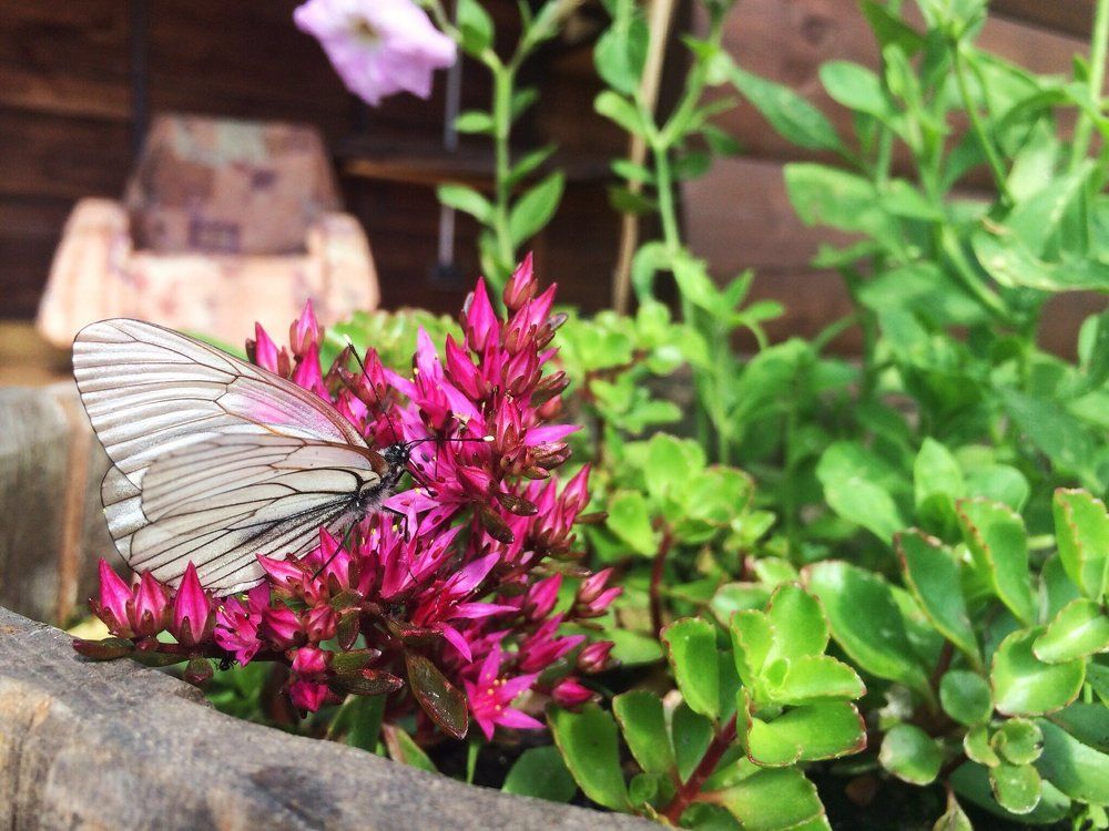 Photograph by Надежда