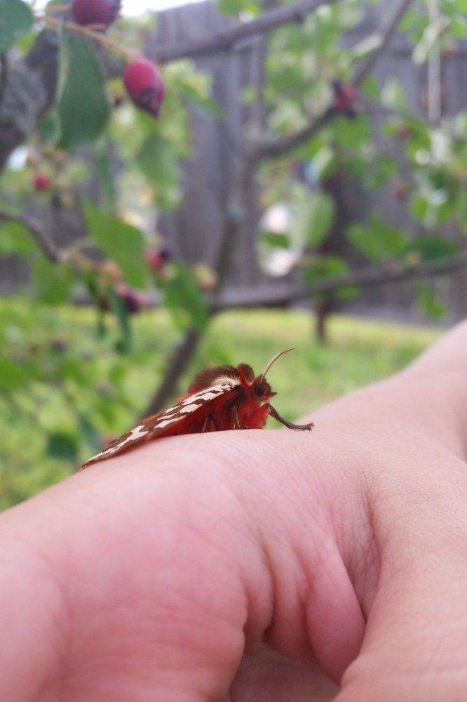 Все под контролем