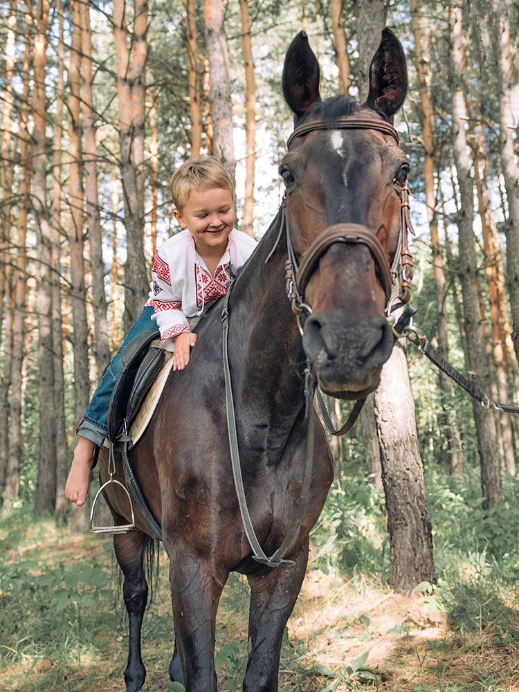 Фотография автора Степин Геннадий