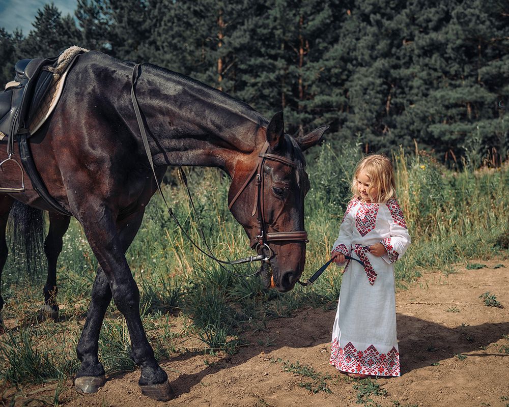 Фотография автора Степин Геннадий