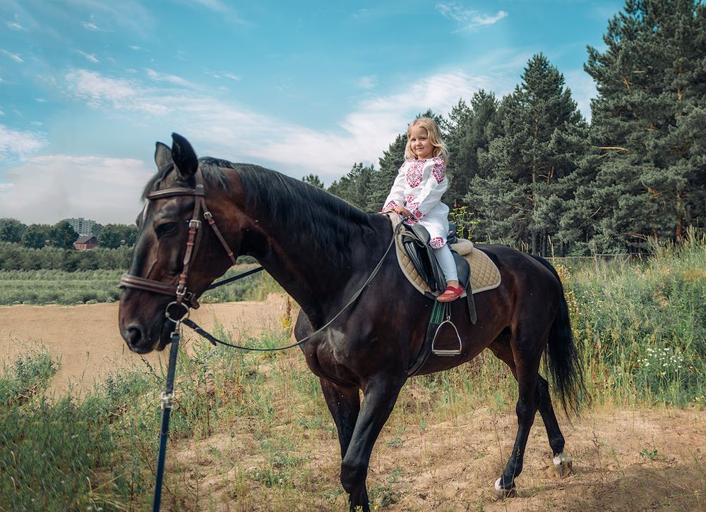 Фотография автора Степин Геннадий