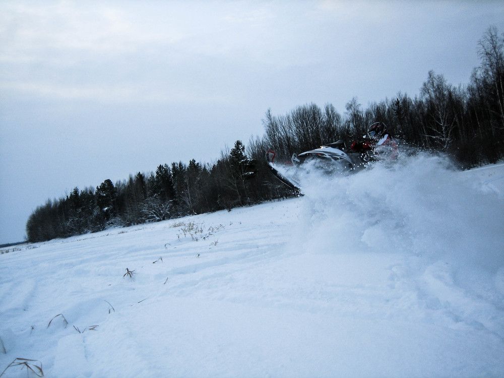 Из снежного плена