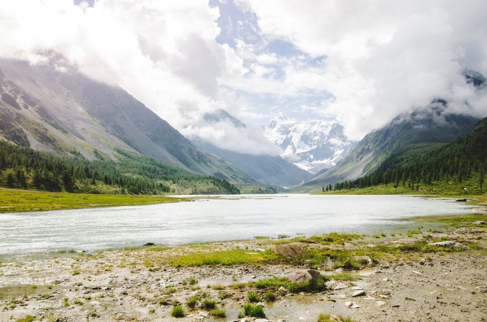 Скромная красавица