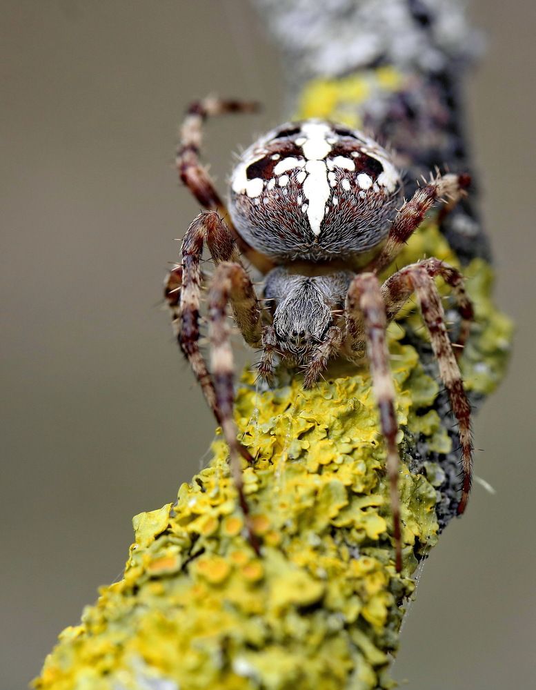 Photograph by Игорь Осипов