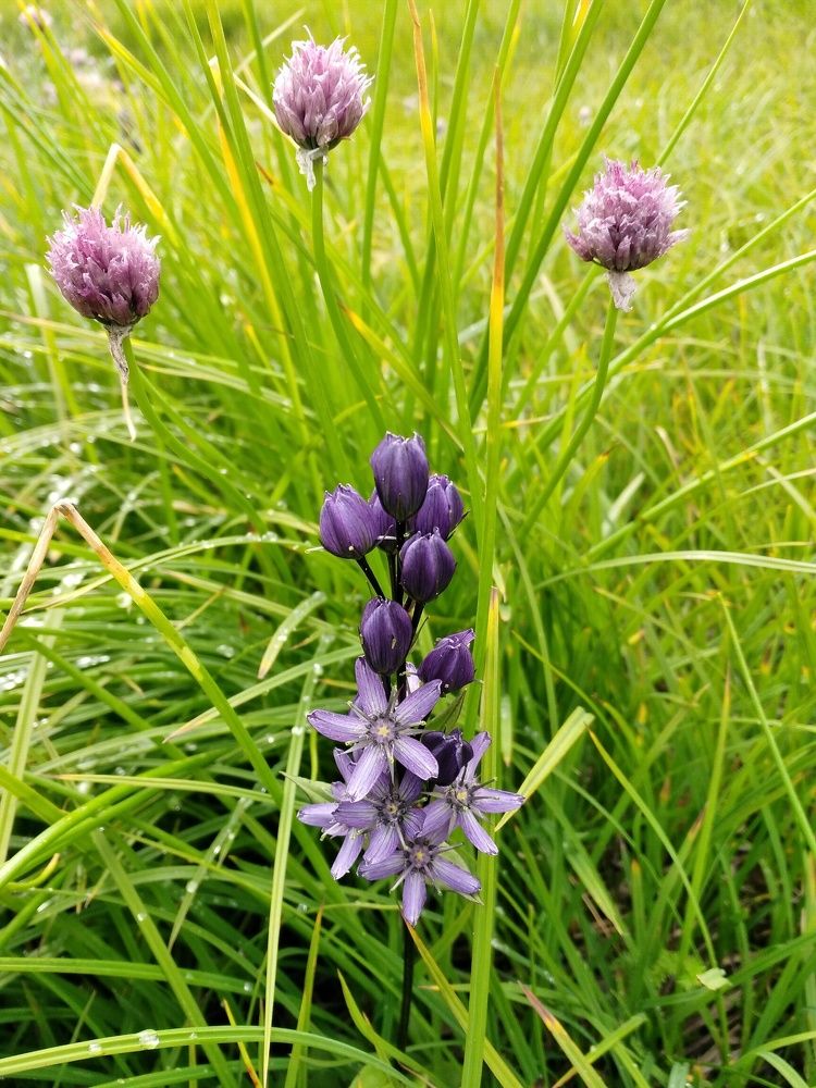 Photograph by Мария