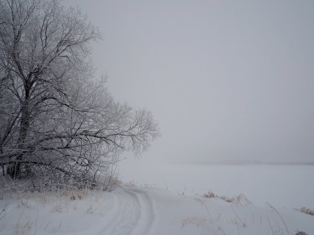 Декабрьский туман