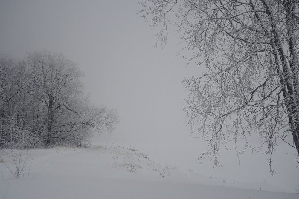А в декабре пришёл туман...
