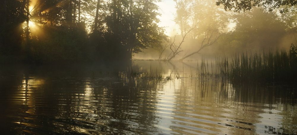 утро на реке.